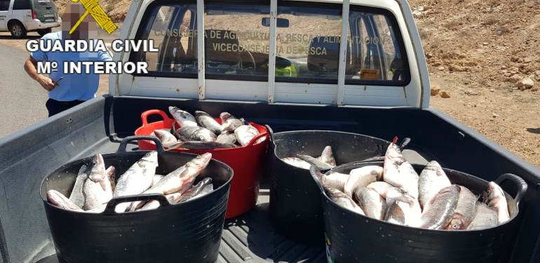 Investigados dos hombres por robar 150 kilos de lubinas de las granjas marinas de Playa Quemada