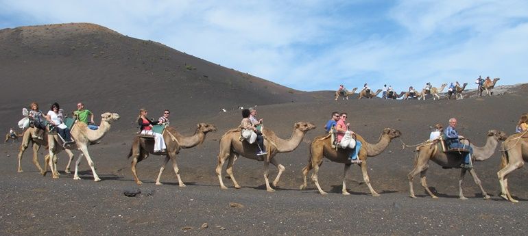 Los camelleros reanudarán el 1 de julio los paseos por Timanfaya