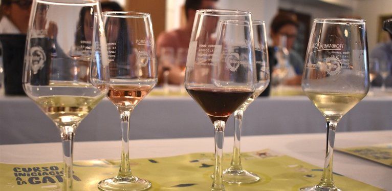 Vinos de Lanzarote, una D.O. que no para de crecer