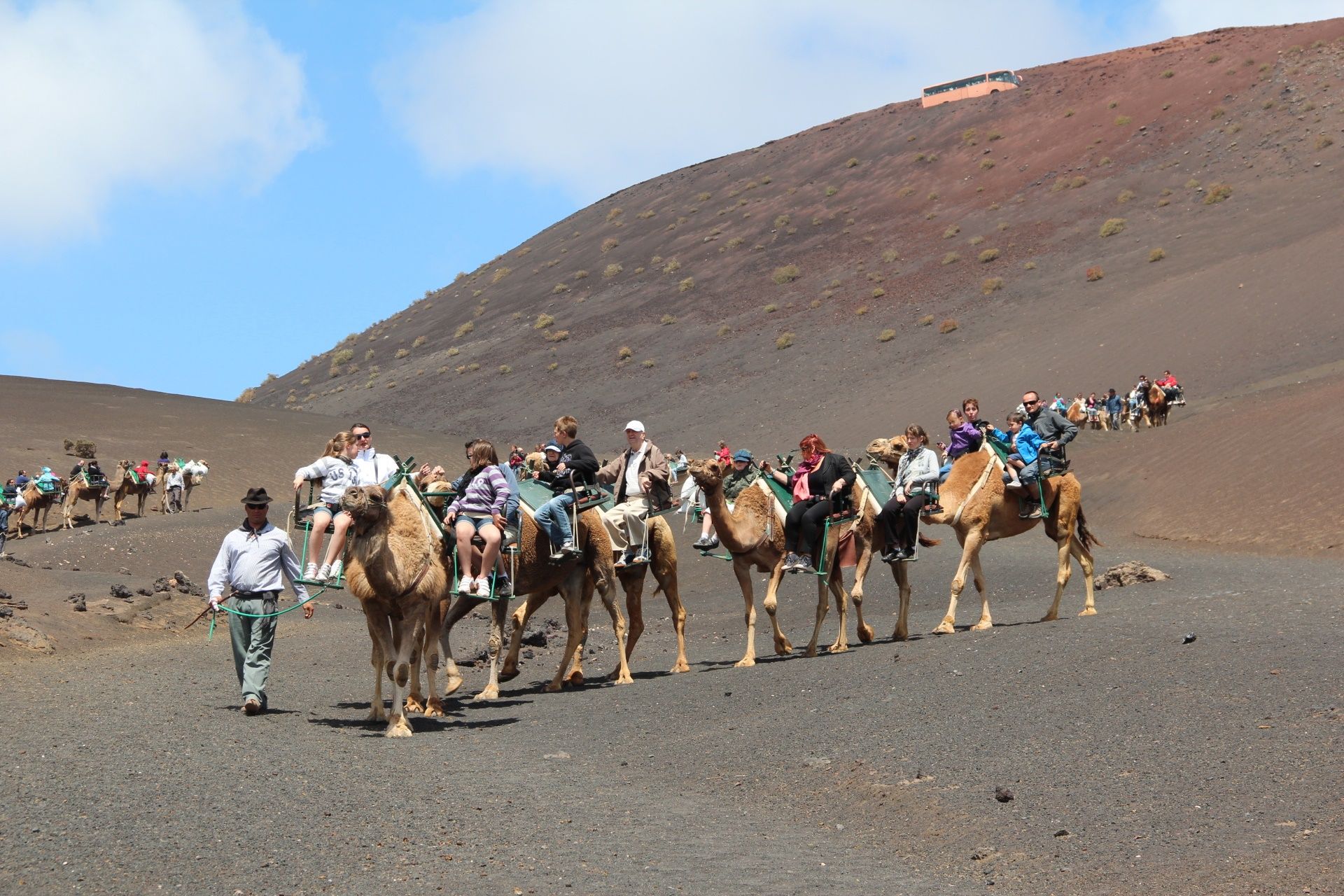 Paseos a camello en Timanfaya