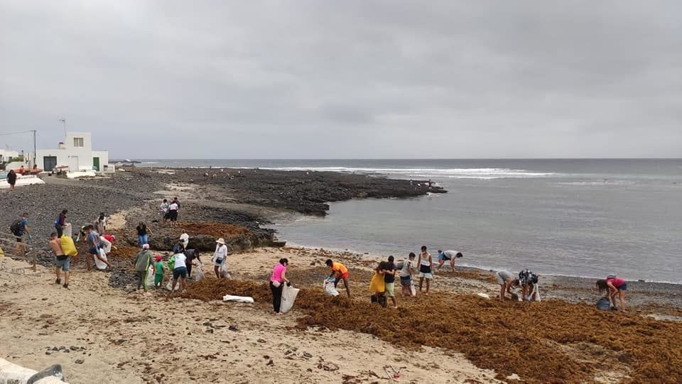 Limpieza de seba en Caleta de Caballo 