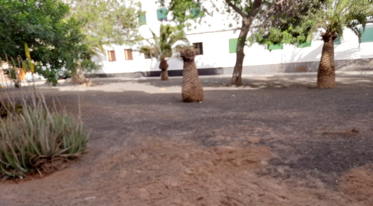 Jardines Juan Salazar Ortiz