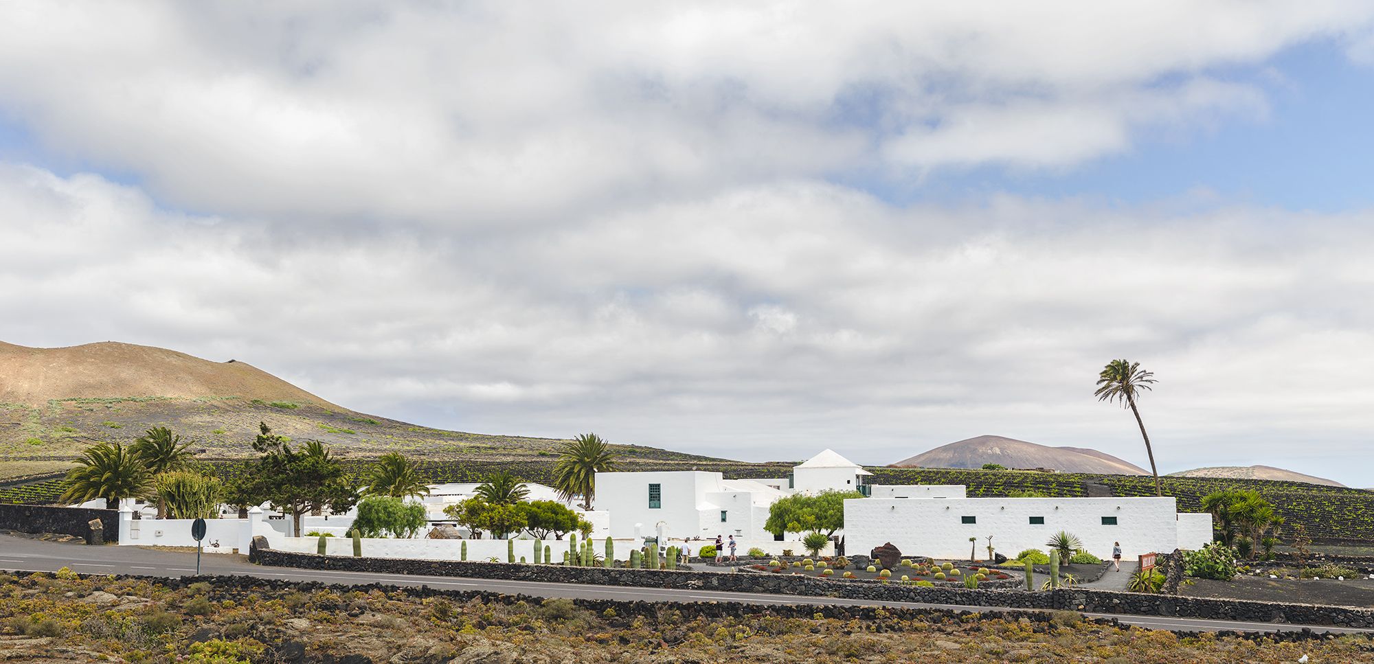 Vista panorámica Bodega El Grifo