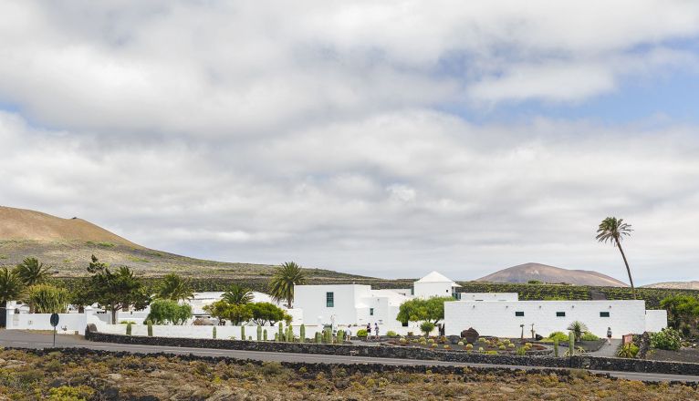 Vista panorámica Bodega El Grifo