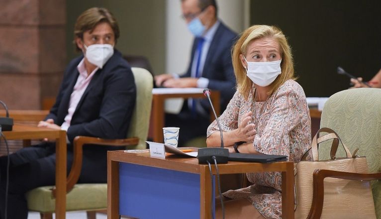 La presidenta de Asolan y de la Federación Turística de Lanzarote, Susana Pérez, en el Parlamento