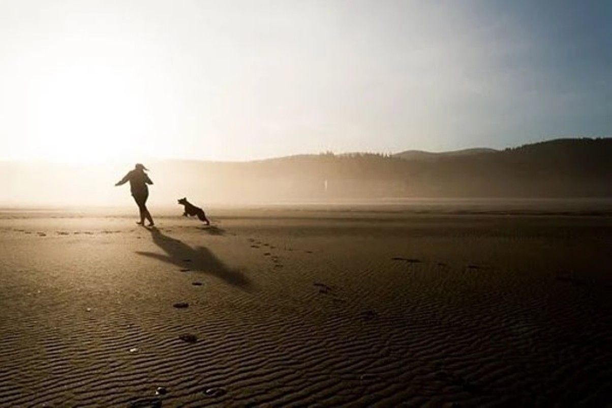 Playas para perros