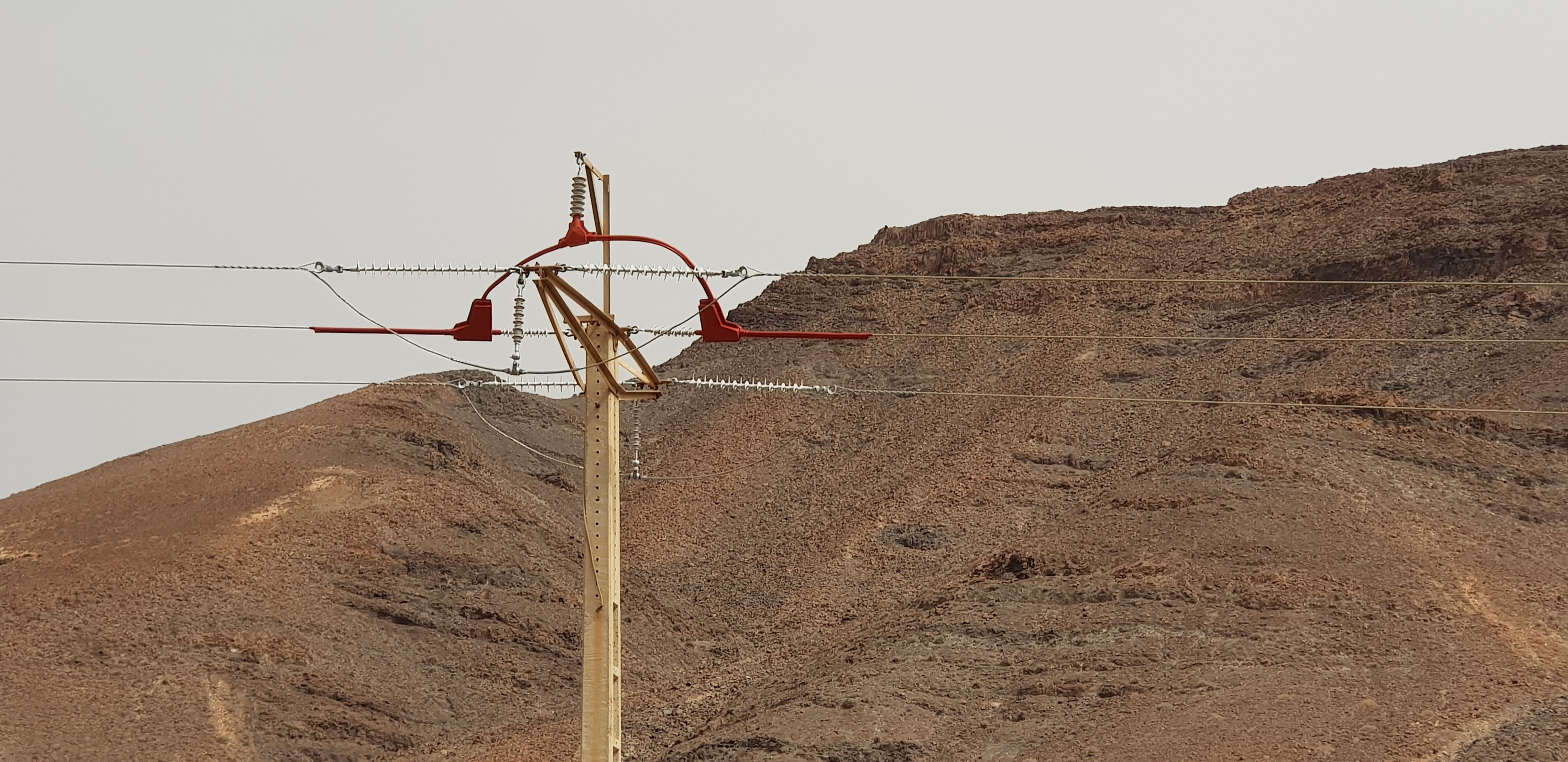 Endesa implementa mejoras para la protección de las aves en 130 apoyos eléctricos de Lanzarote y Fuerteventura