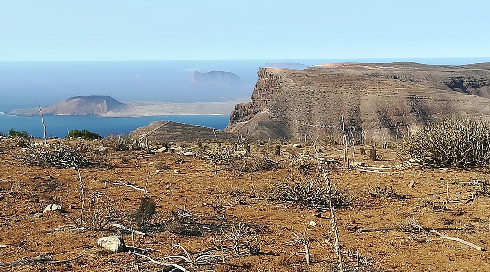 Restauración hábitat en Famara