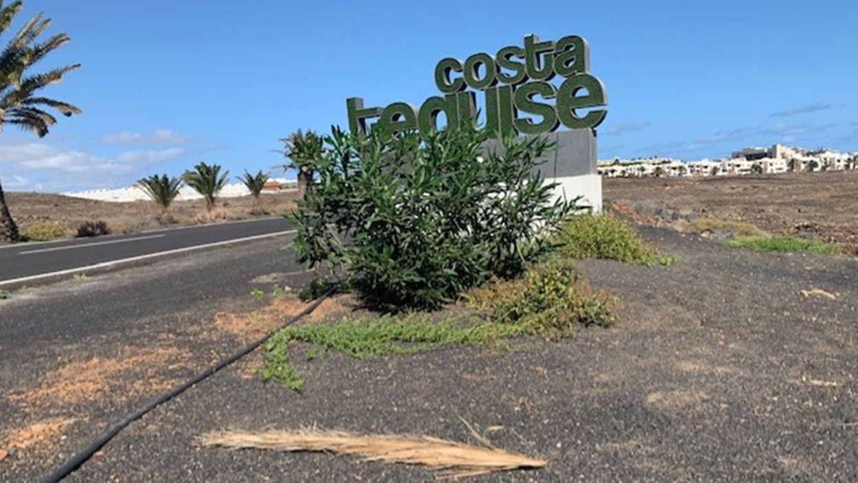 Imagen enviada por el PSOE sobre el estado de las zonas ajardinadas de Costa Teguise