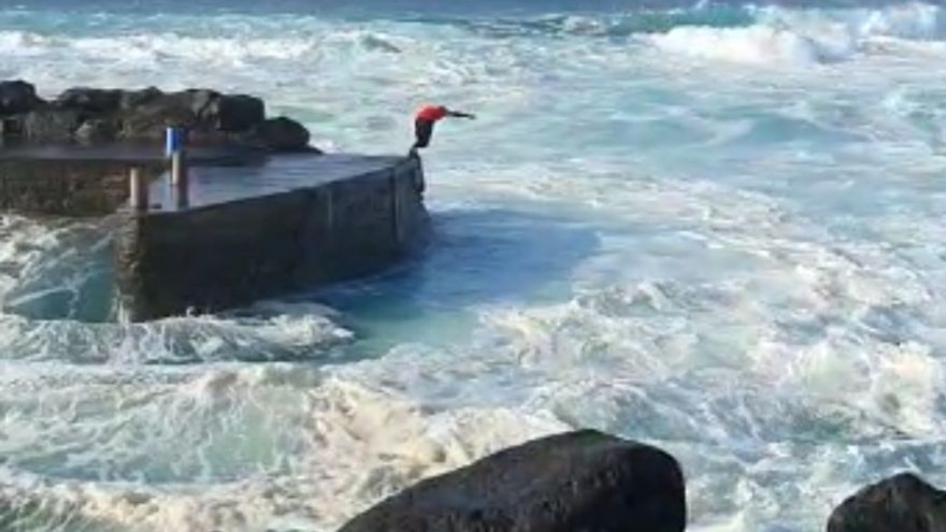 "Hijo del Mar" en La Santa