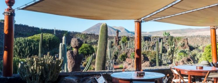 Cafetería del Jardín de Cactus