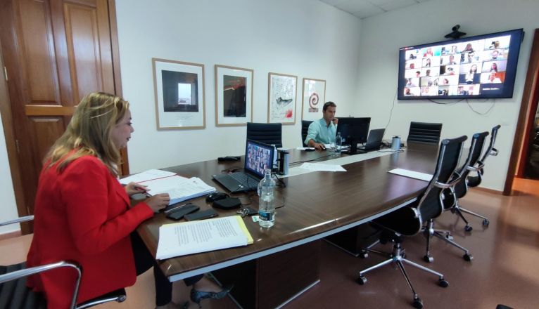 Pleno de Cabildo de Lanzarote del 14 de noviembre de 2020 Pleno de Cabildo de Lanzarote del 14 de noviembre de 2020
