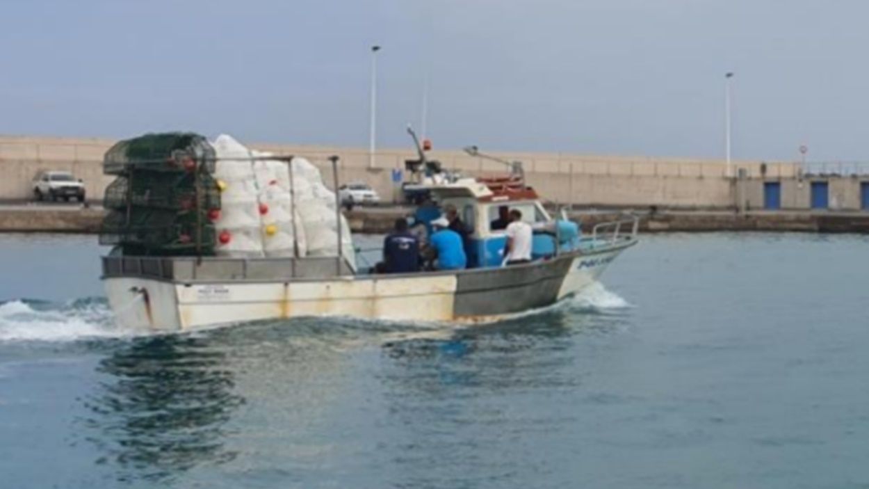 Pescas experimentales para gamba en aguas de Corralejo