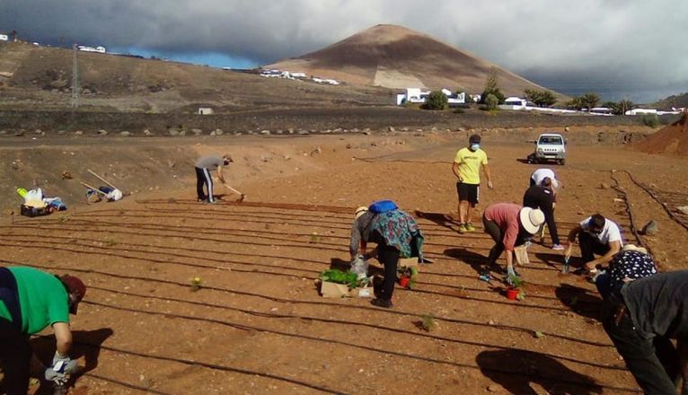 Huertos comunitarios en Tías