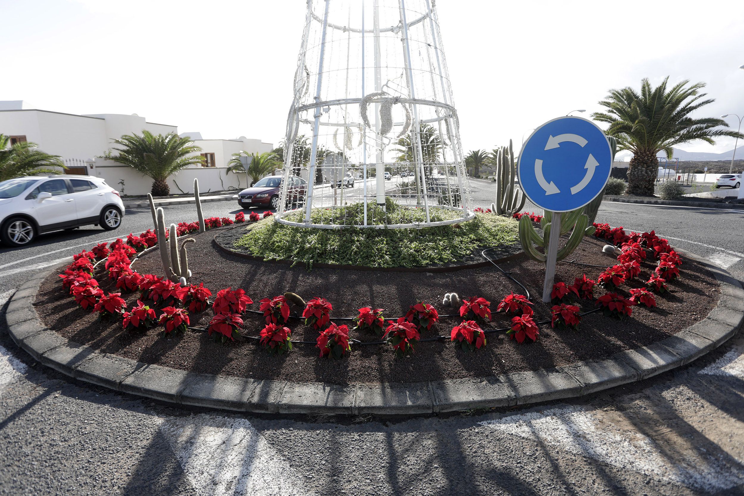 Teguise repone sus flores de Pascua tras ser robadas