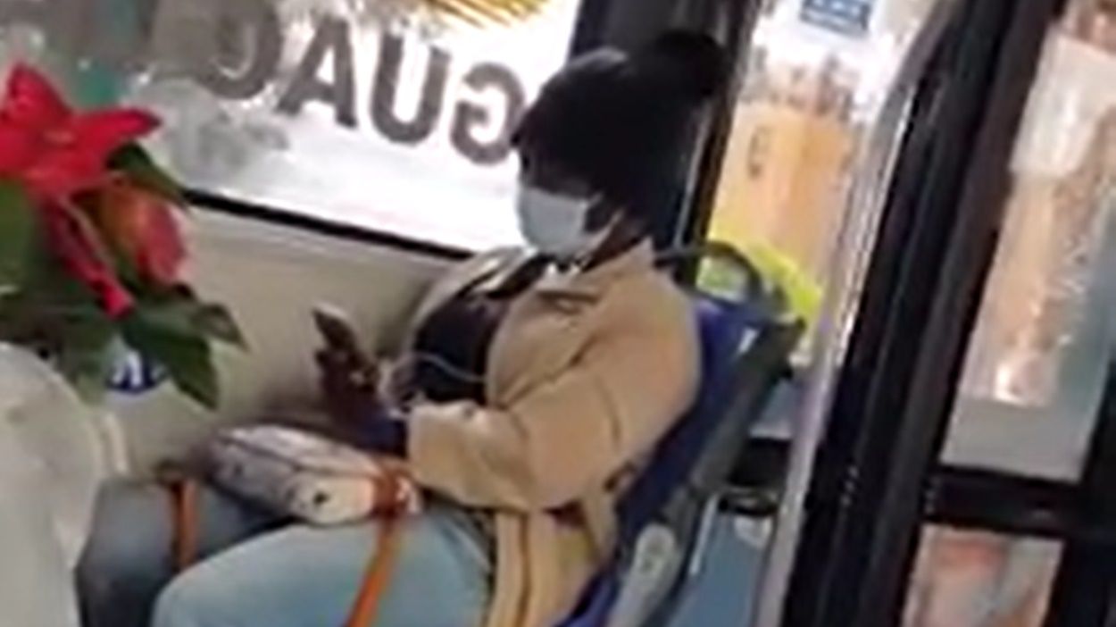 Imágenes del episodio racista ocurrido en una guagua en Arrecife