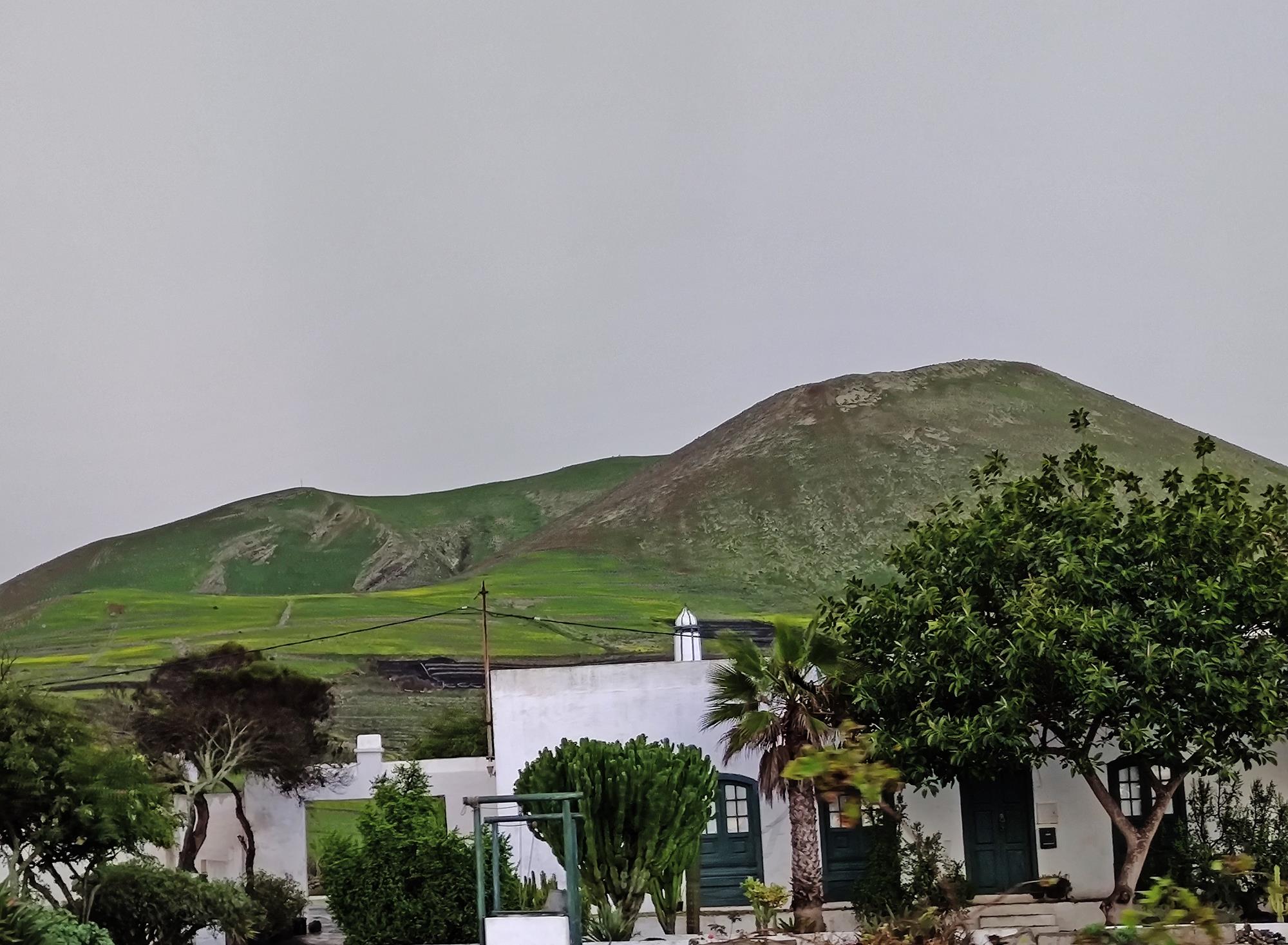 Filomena paints the island green. Photos: Sergio Betancort