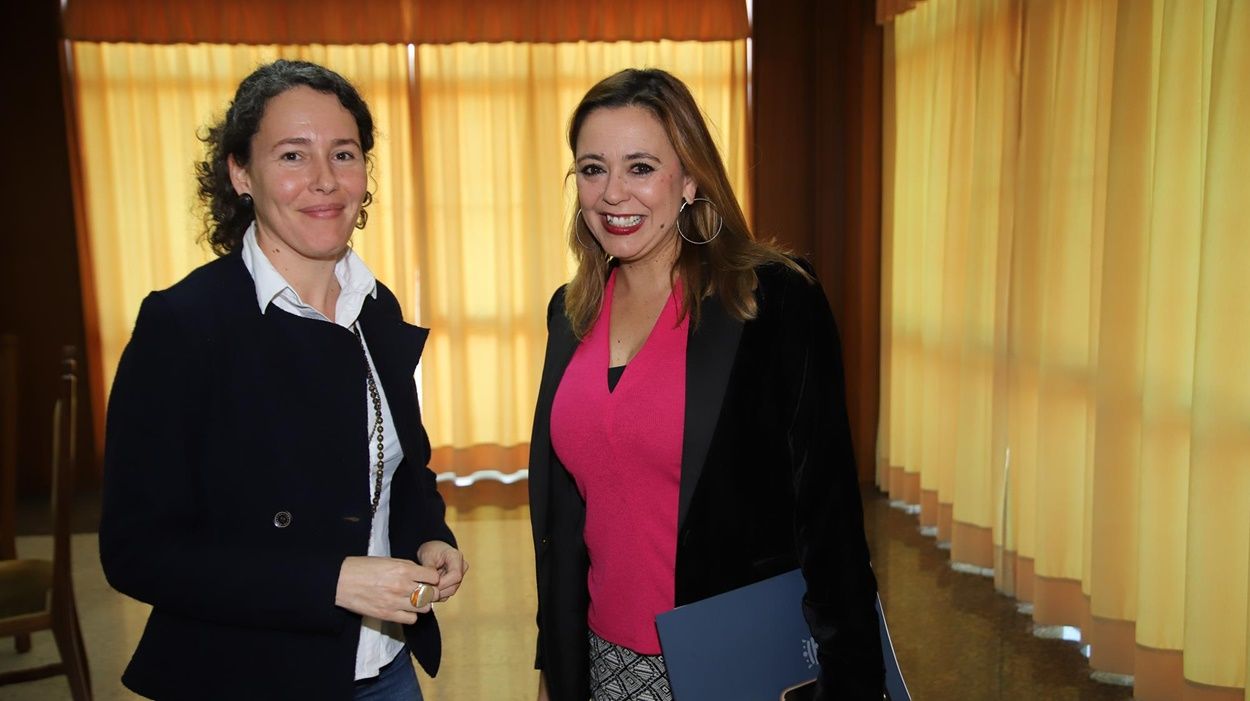 La presidenta del Cabildo, María Dolores Corujo, y la consejera de Energía, Ariagona González