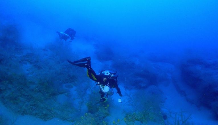 Investigadores de ABAS y LECOB en la linde del bosque del coral negro