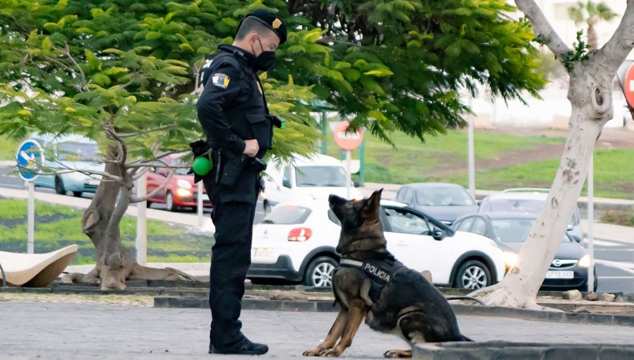 El oficial de la USCI, Miguel Ángel Rodríguez