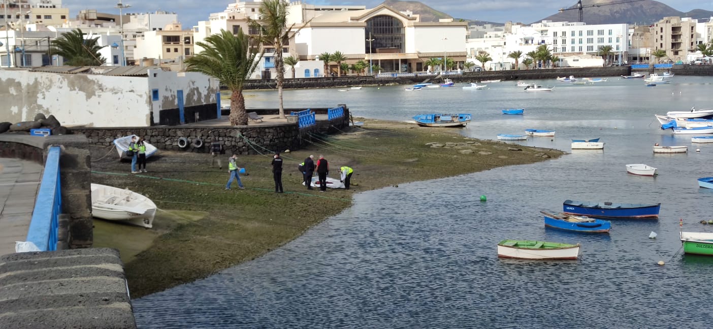 Encuentran un cuerpo sin vida flotando en el Charco de San Ginés.Fotos:Sergio Betancort