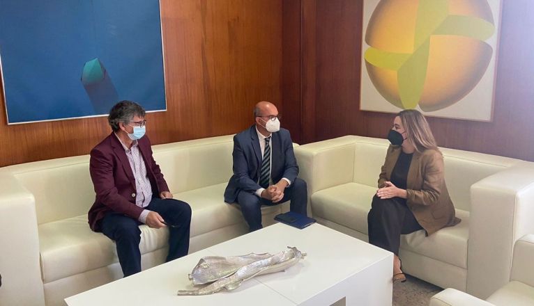 Reunión en el Cabildo con el delegado del Gobierno en Canarias