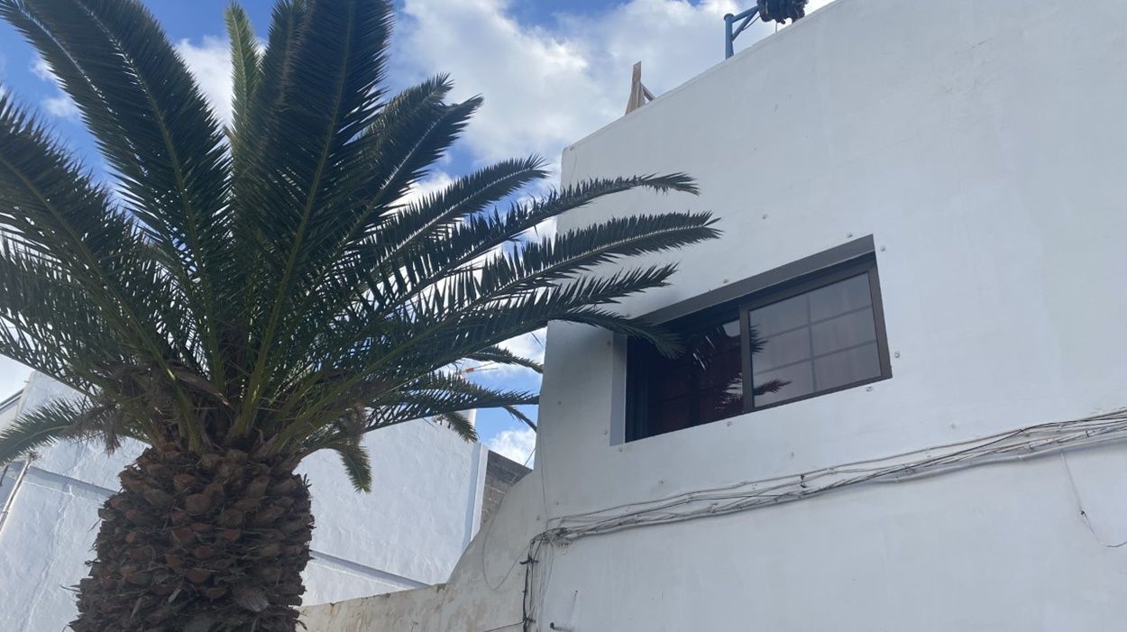 Hojas de una palmera colándose por la ventana de una vivienda en Titerroy