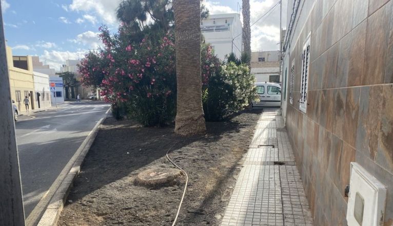 Jardines de la calle Luis Guadarfía de Titerroy