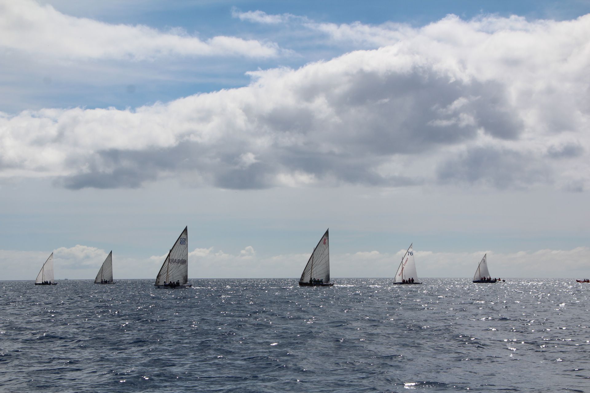 El Tritón de Playa Blanca debuta con victoria en la I Copa Vela Latina del Sur El Tritón de Playa Blanca debuta con victoria en la I Copa Vela Latina del Sur
