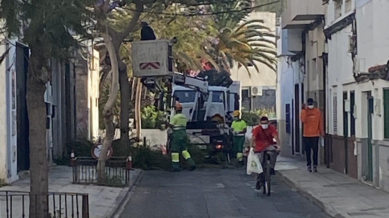 Corte de una calle para cortar unos árboles en Titerroy