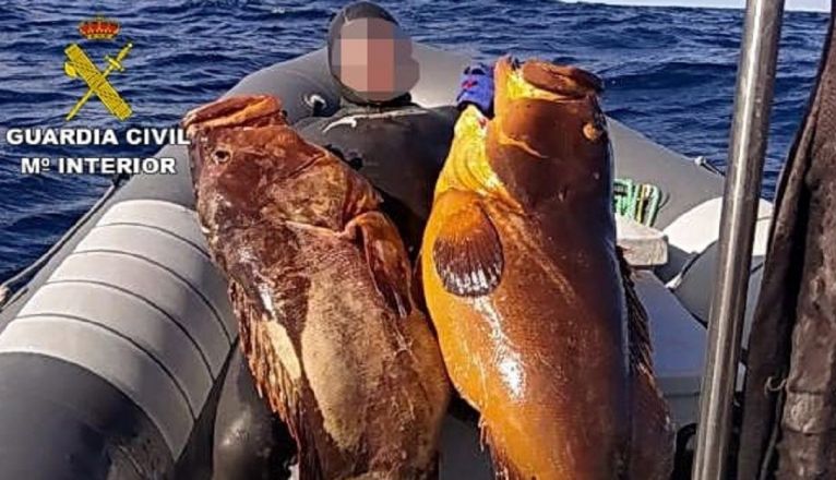 Operación de la Guardia Civil contra la pesca furtiva Operación de la Guardia Civil contra la pesca furtiva