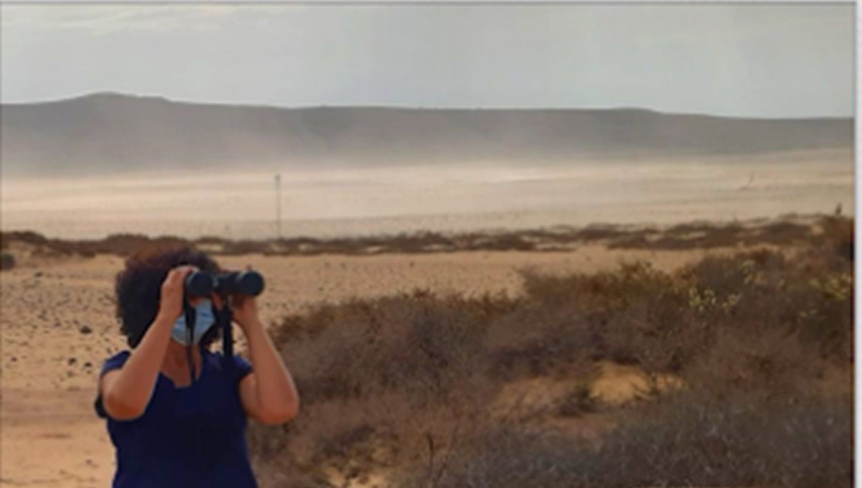 Observación de aves