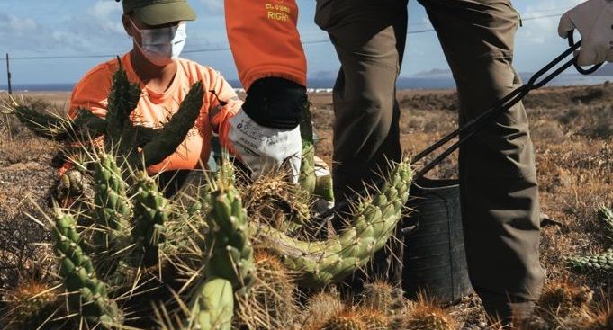 Imagen de una intervención en las islas para erradicar Especies Exóticas Invasoras