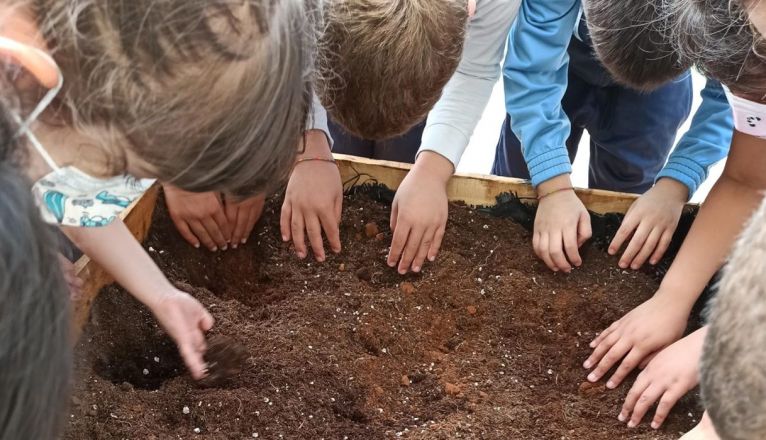 Alumnos del CEIP Nieves Toledo, trabajando en el huerto ecológico del centro