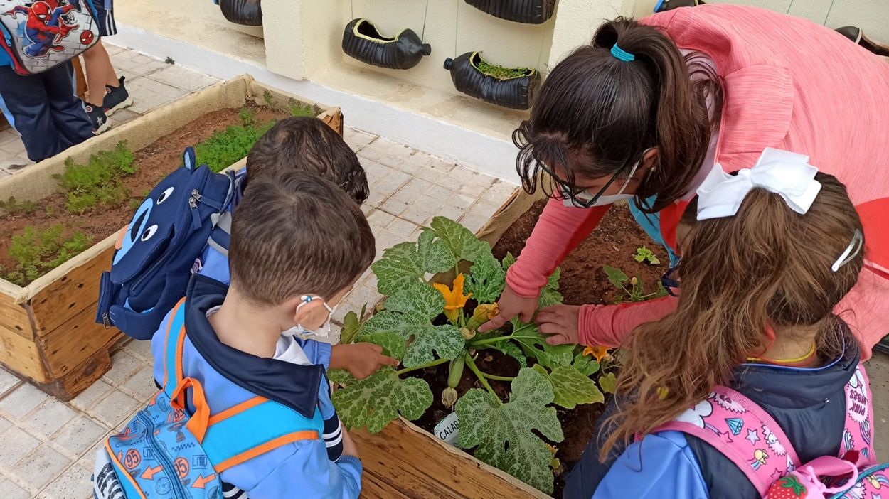 Huerto escolar del CEIP Nieves Toledo