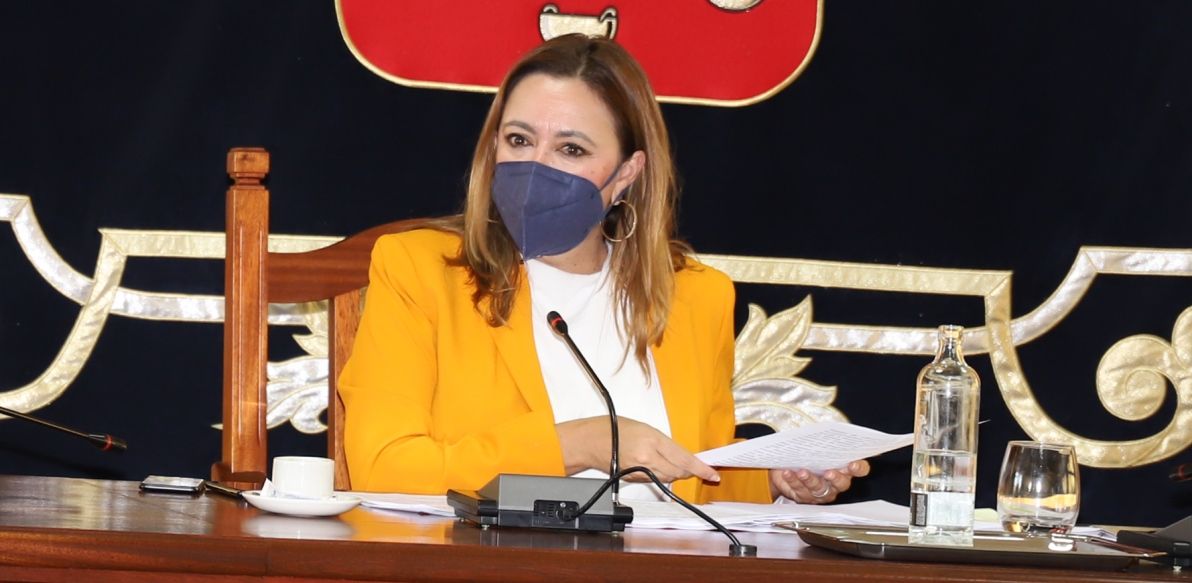 Maria Dolores Corujo durante la comparecencia en el pleno del Cabildo de Lanzarote  sobre Inalsa