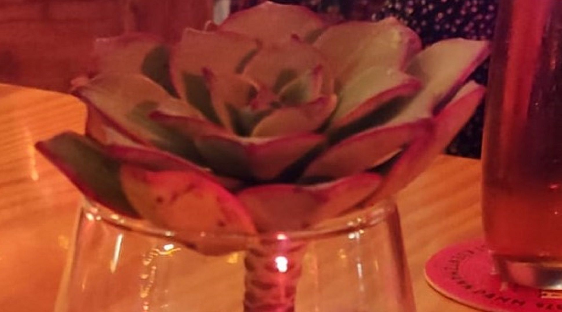 Especie endémica de Lanzarote decorando la mesa de un restaurante