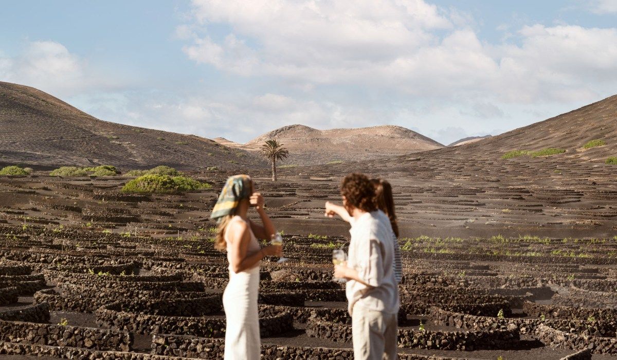 Viñedos de La Geria para la producción del vino de Lanzarote