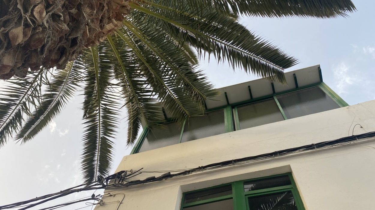 Hojas de palmera junto a una vivienda en Titerroy