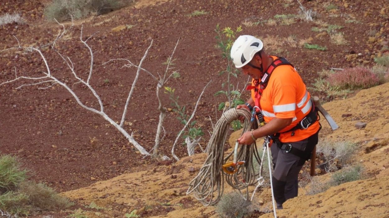 Trabajos de control de la población de 'Nicotiana glauca' en La Graciosa