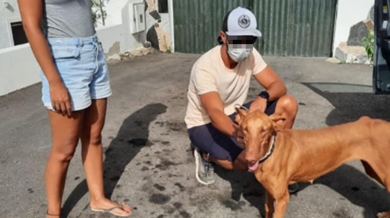 Los turistas que encontraron al perro, junto al animal