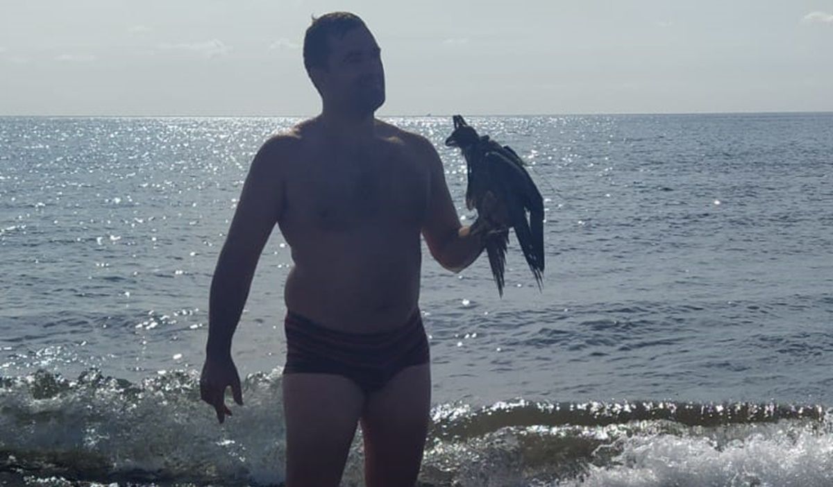 Arturo Rodríguez logra salvar a un halcón de morir ahogado