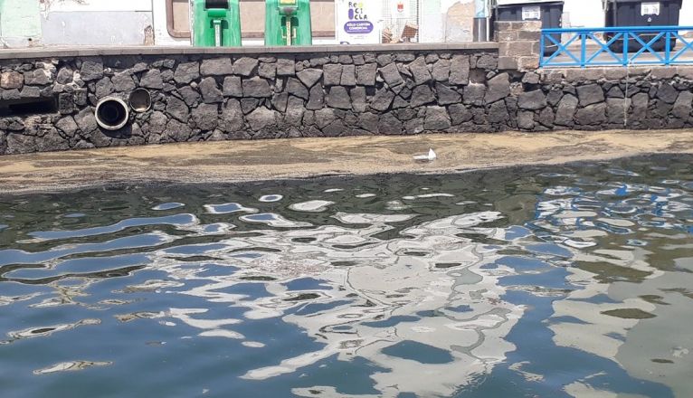 Imagen de la suciedad del Charco de San Ginés Imagen de la suciedad del Charco de San Ginés
