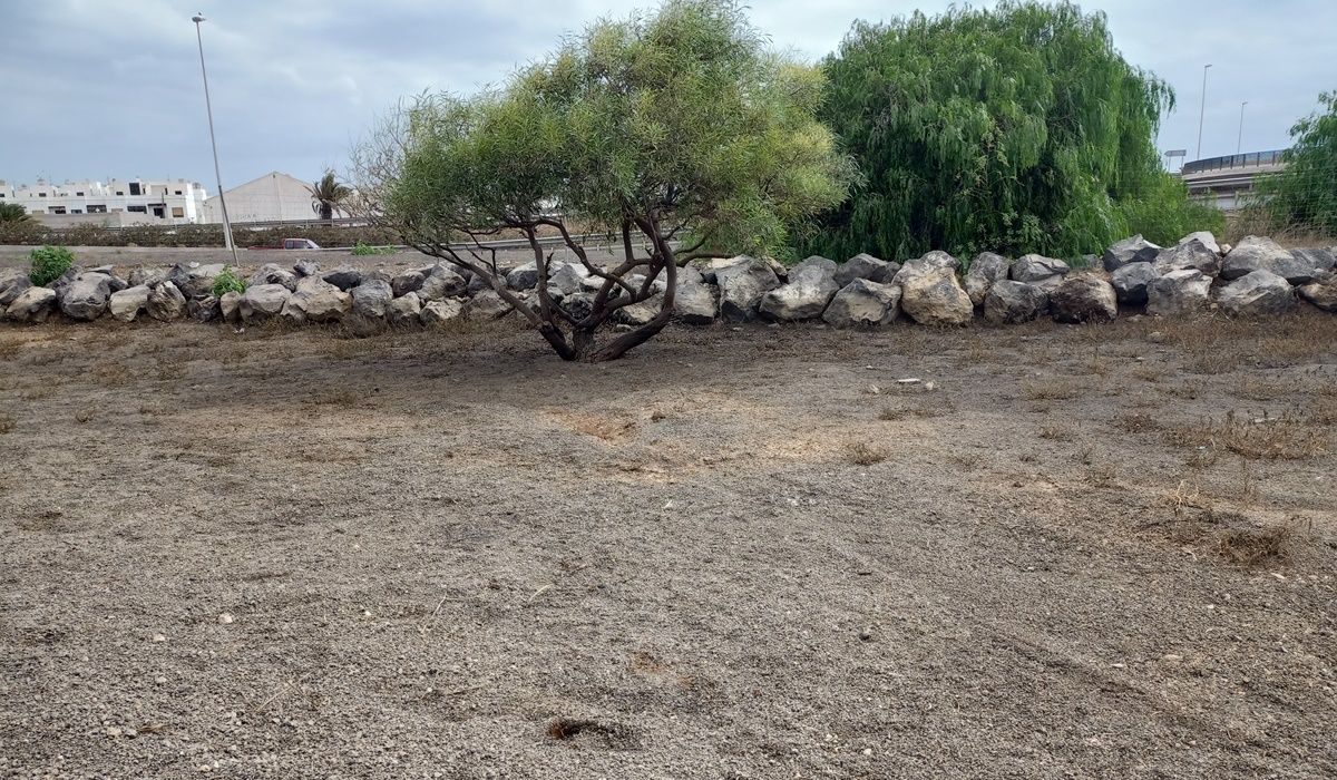 Desaparecen las aguas residuales en Argana Alta