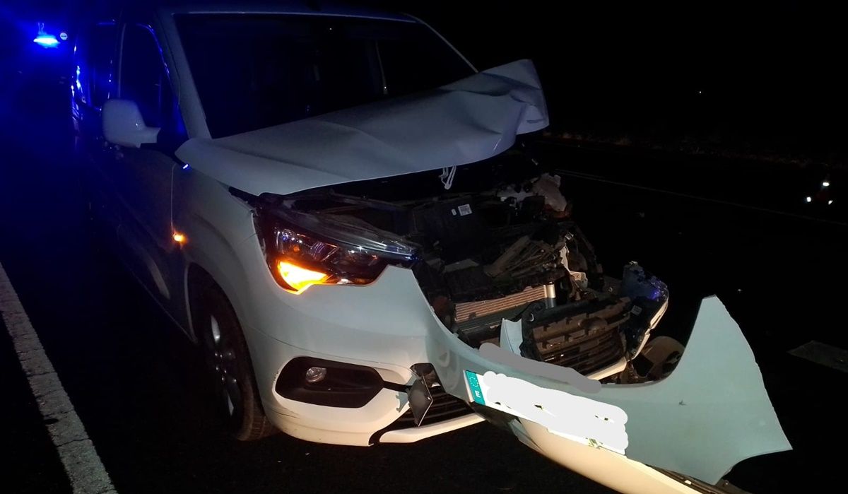 Mueren dos burros tras impactar con un coche cuando atravesaban la carretera hacia Uga