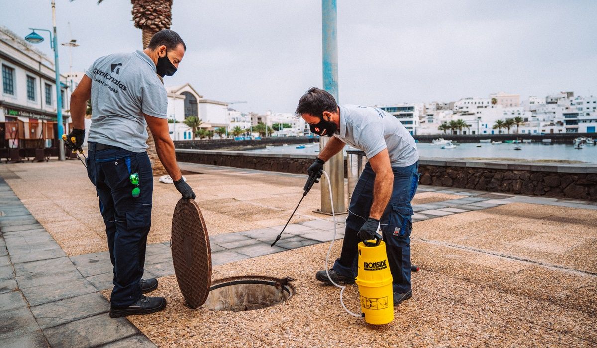 Trabajos de fumigación en el Charco de San Ginés