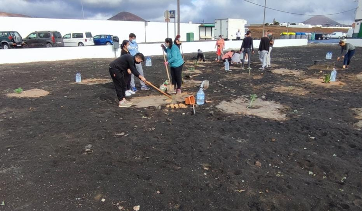 Vecinos de Arrecife replantan un jardín en Manehe