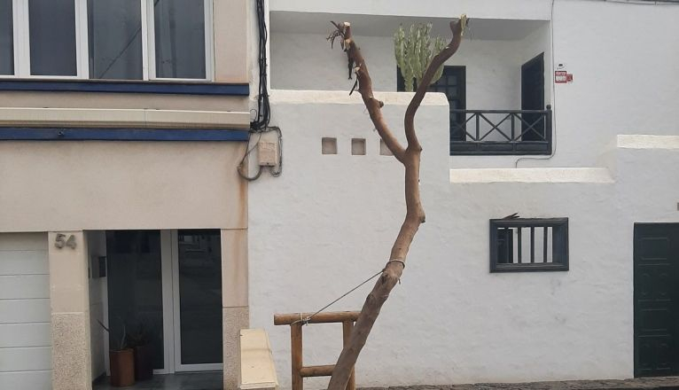 Estado actual del árbol