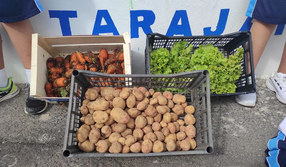 Productos del huerto ecológico del CEIP Benito Méndez Tarajano