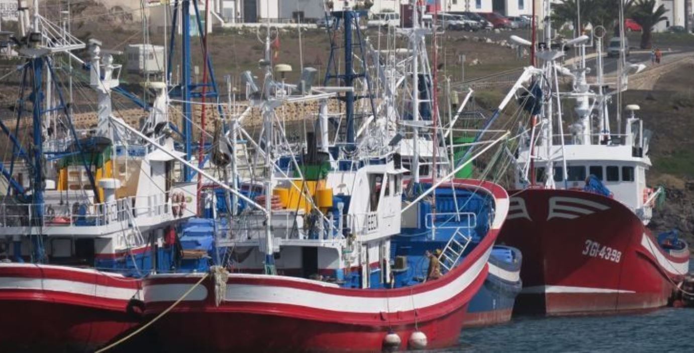 Barcos de pesca en Puerto Naos